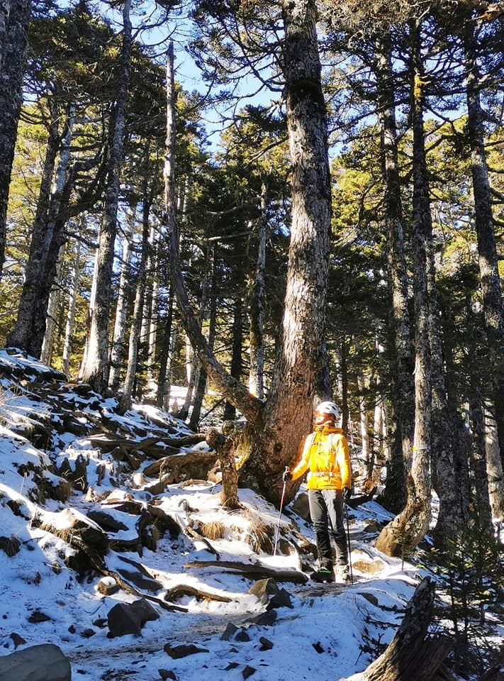 陽光、白雪、黑森林~雪山圈谷玩雪趣