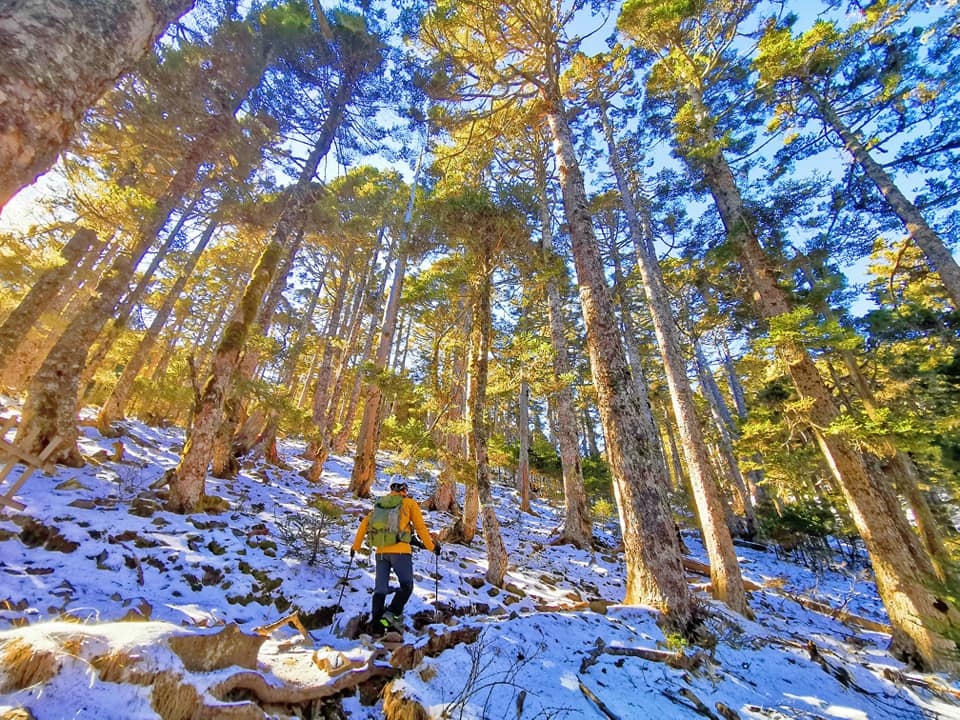 陽光、白雪、黑森林~雪山圈谷玩雪趣