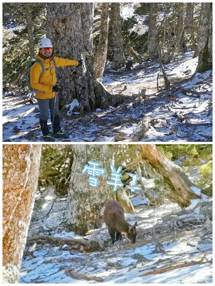 陽光、白雪、黑森林~雪山圈谷玩雪趣