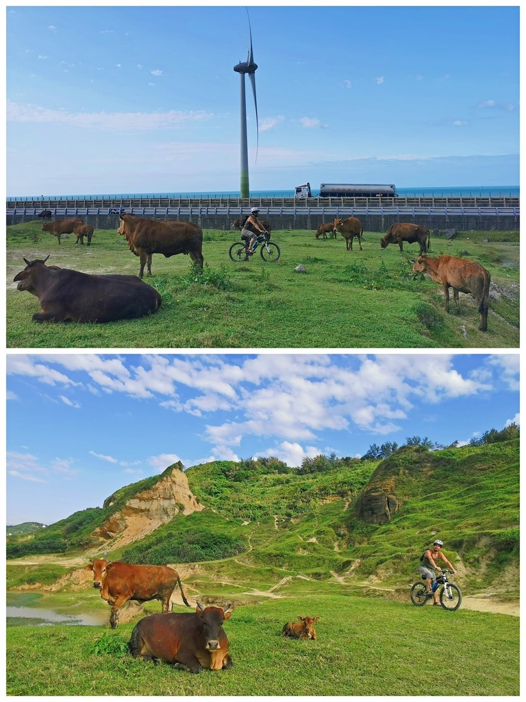 林口大峽谷-水牛坑~北部最具代表性的越野車試煉聖地