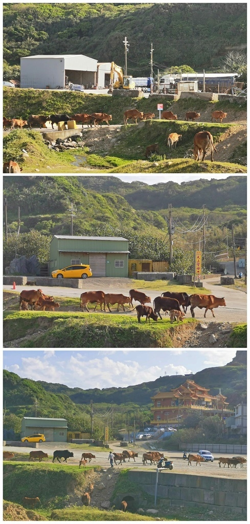 林口大峽谷-水牛坑~北部最具代表性的越野車試煉聖地