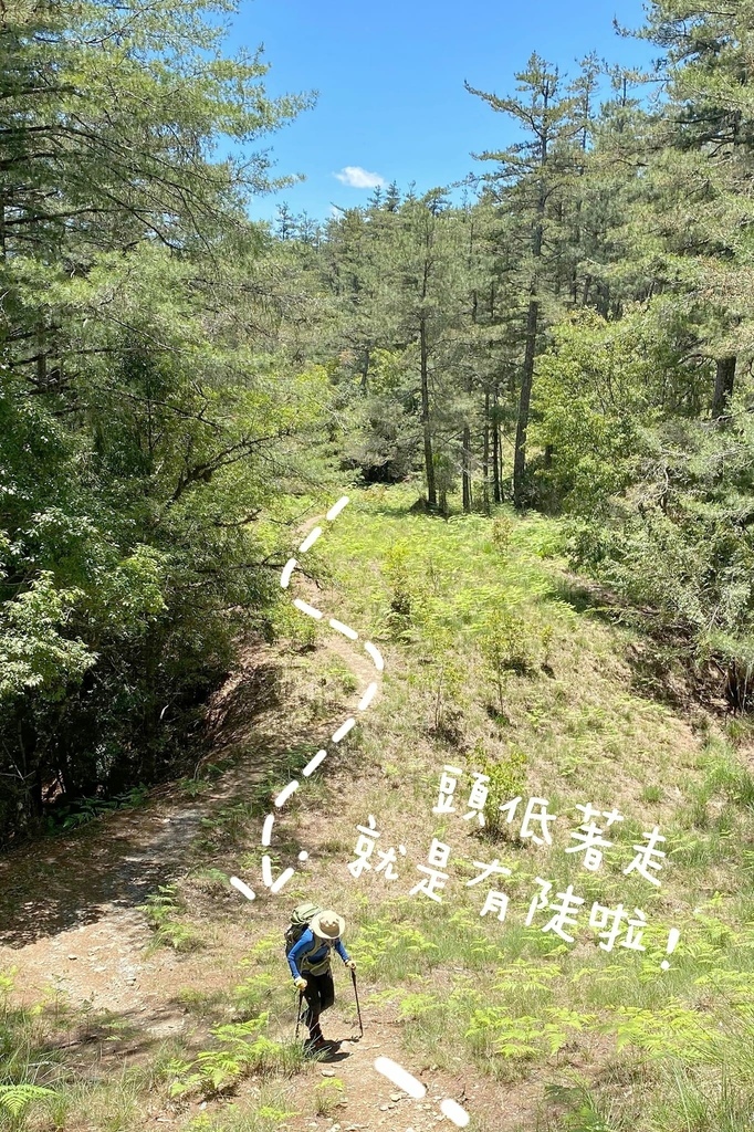 大劍山論劍~二天一夜~夜宿油婆蘭營地