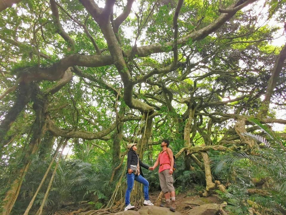 台東 鸞山部落森林博物館