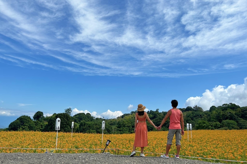 花蓮金針花季 赤柯山~如金色海浪在山間起伏的黃金花毯~遇見六