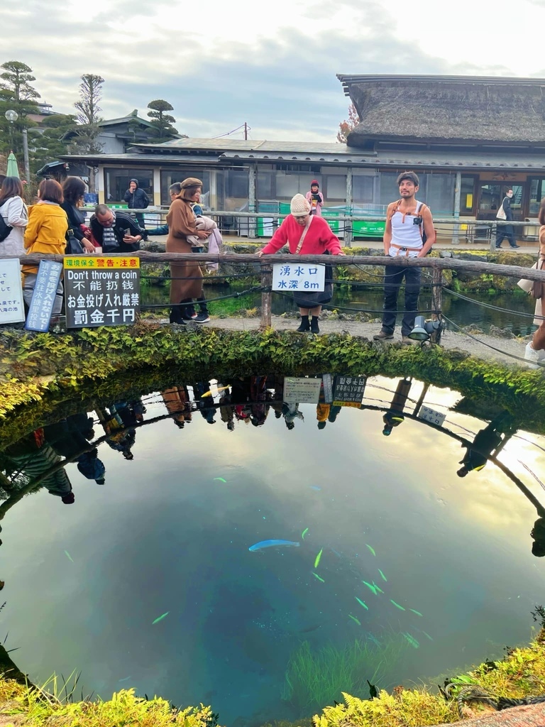 東京自助賞楓行3~河口湖篇~騎單車遊河口湖~楓葉迴廊、大石公