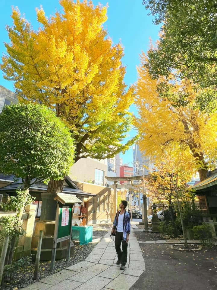 東京自助賞楓行9~東京上野篇~東京百年老屋Guest hou