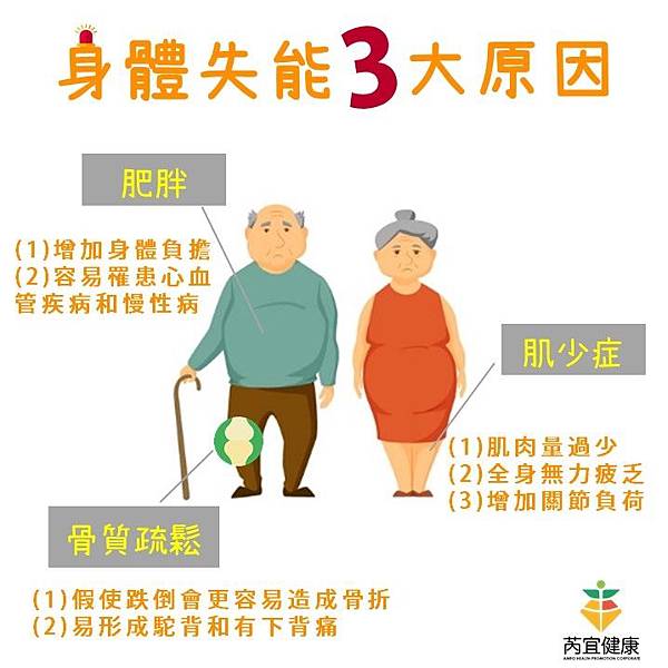 身體失能3大原因.jpg 身體失能3大原因.jpg