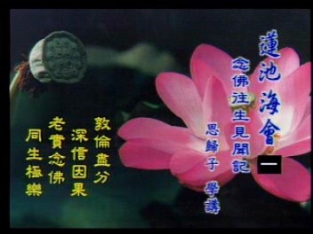 蓮池海會 念佛往生見聞記 思歸子 學講VCD 台語版 計4片