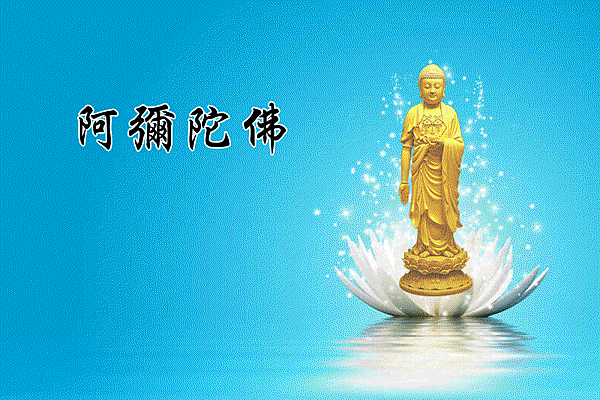 1554902052-3555641343.gif 1554902052-3555641343.gif