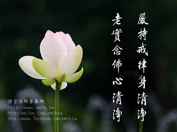 戒律.jpg 戒律.jpg