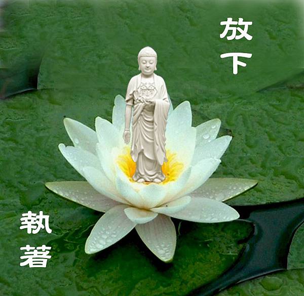 放下執著-白佛.jpg 放下執著-白佛.jpg