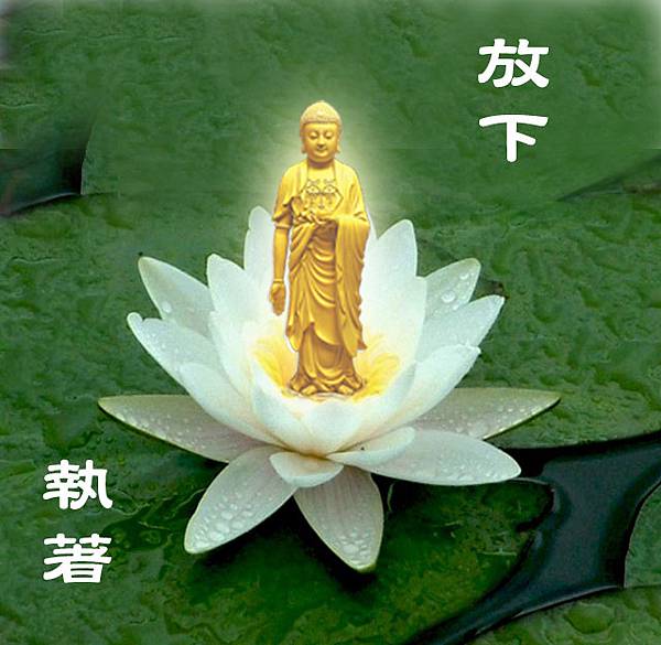 放下執著-金佛.jpg 放下執著-金佛.jpg