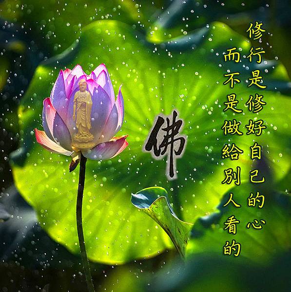 紅色蓮花-292201726-20190410-修行是修自己的心.jpg 紅色蓮花-292201726-20190410-修行是修自己的心.jpg