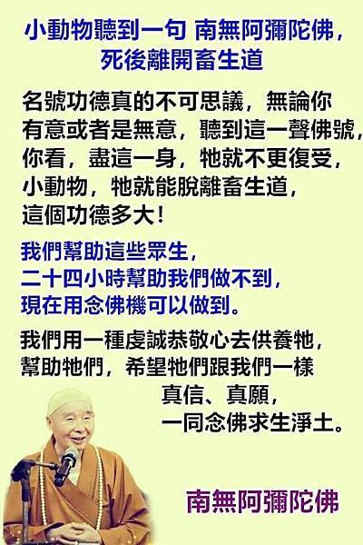 名號不可思議.jpg 名號不可思議.jpg