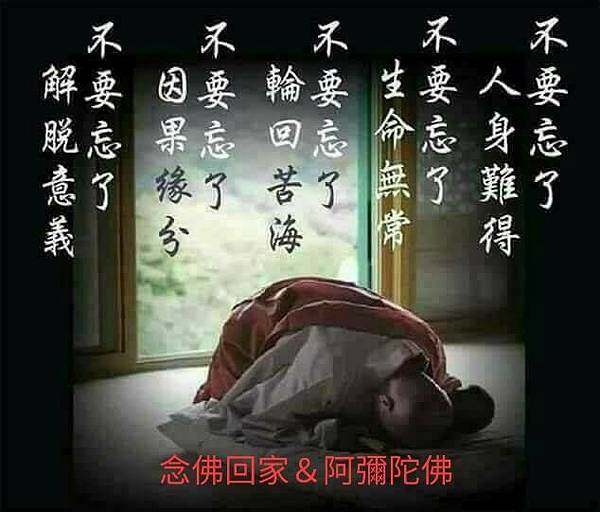 念佛回家.jpg 念佛回家.jpg