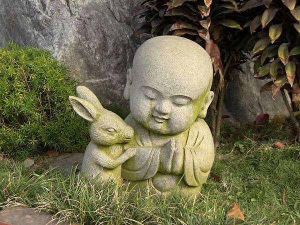 IMG_0143.JPG IMG_0143.JPG