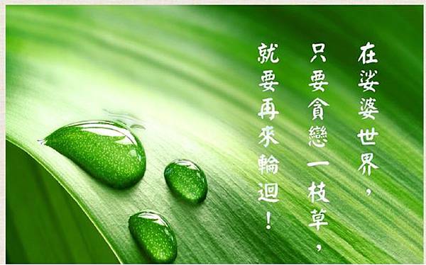 貪戀則輪迴.jpg 貪戀則輪迴.jpg
