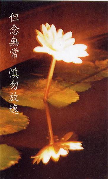 但念無常下載.jfif 但念無常下載.jfif