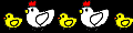 bird2.gif