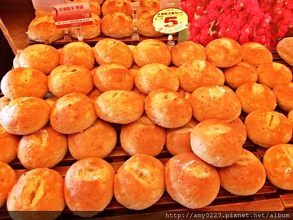 CAM01333_meitu_7.jpg