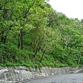 豐田環山布道 011.jpg