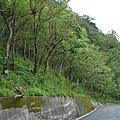 豐田環山布道 010.jpg