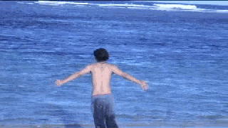 PALI 4_clip1.gif PALI 4_clip1.gif