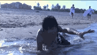 PALI 4_clip3.gif PALI 4_clip3.gif