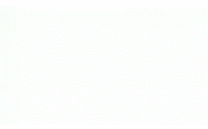 ANTIQUE22.gif