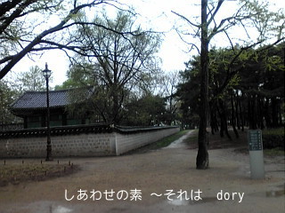 img_986572_29145670_0