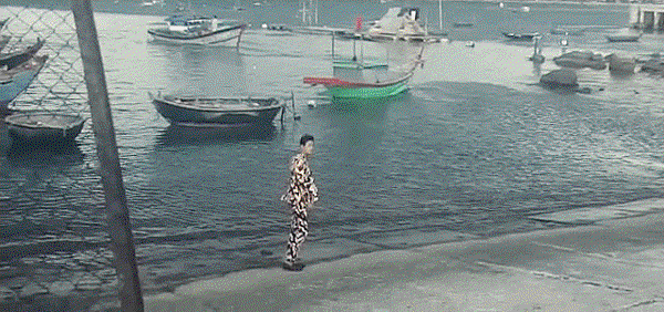 anigif