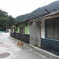 1021010馬岸11a.jpg