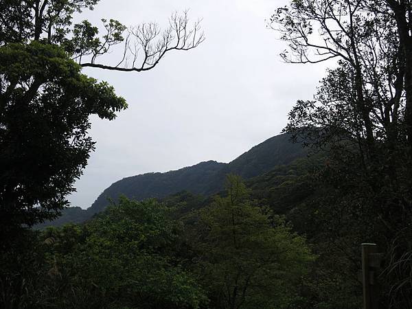 1030316獅仔頭山20.jpg