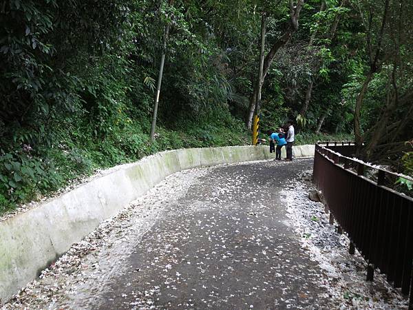 1030420鳶尾山步道10.jpg