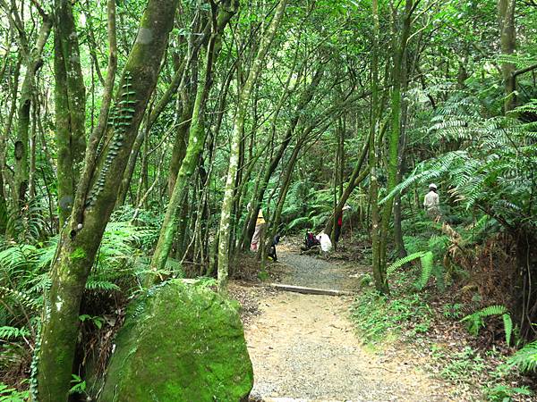 1030523碧山步道01.jpg