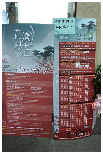 2008花漾秋芒.jpg