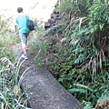 1031122金瓜石(黃金神社-地質公園)07b.jpg