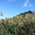 1031122金瓜石(黃金神社-地質公園)01.jpg