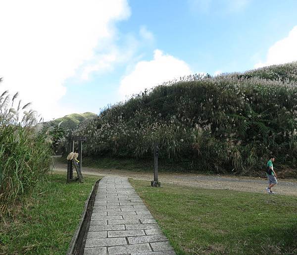 1031122金瓜石(黃金神社-地質公園)28.jpg