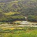 1040620尖山湖梯田07.jpg