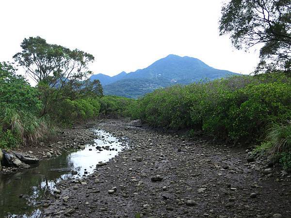 1040702紅樹林走到淡水05.jpg