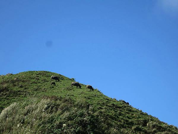 IMG_8414.jpg IMG_8414.jpg
