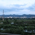 1030908鹿角溪溼地19.jpg