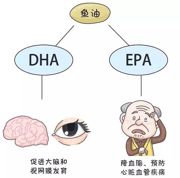 微信图片_20180126101808.jpg