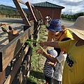 IMG_2945.JPG