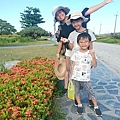 IMG_2972.JPG