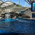 IMG_3045.JPG