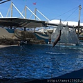 IMG_3050.JPG