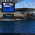 IMG_3053.JPG