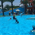 IMG_3157.JPG